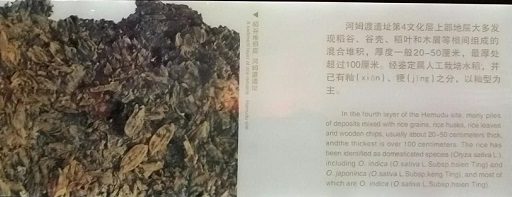 圖片4.png